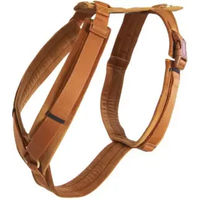 Produktbild von Kentucky Dogwear Hundegeschirr Aktiv Velvet Orange XL 48-70cm