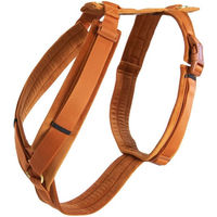 Produktbild von Kentucky Dogwear Hundegeschirr Aktiv Velvet Sportgeschirr Beige XS