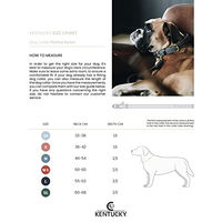 Produktbild von Kentucky Dogwear Hundehalsband aus geflochtenem Nylon Grau Größe L 62cm - 62 cm