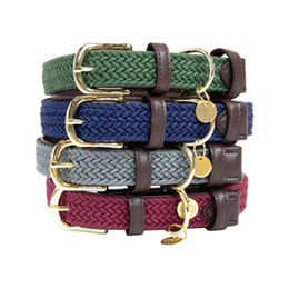Kentucky Dogwear Hundehalsband aus geflochtenem Nylon in Beige Größe S 42 cm – Bild 1 von 3