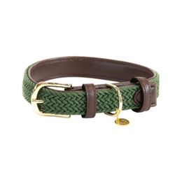 Produktbild von Kentucky Dogwear Hundehalsband aus geflochtenem Nylon in Beige XS 37 cm