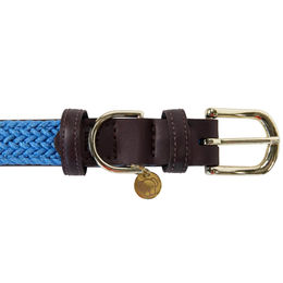 Kentucky Dogwear Hundehalsband aus geflochtenem Nylon in Blau Größe M – Bild 1 von 2
