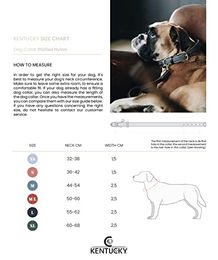 Kentucky Dogwear Hundehalsband aus geflochtenem Nylon in Blau Größe M/L 58cm – Bild 1 von 12