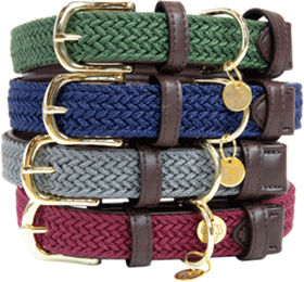 Kentucky Dogwear Hundehalsband aus geflochtenem Nylon in Grün XS 37 cm – Bild 1 von 8