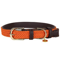 Produktbild von Kentucky Dogwear Hundehalsband aus geflochtenem Nylon in Orange Größe XXS