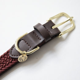Kentucky Dogwear Hundehalsband aus geflochtenem Nylon in Rot Größe XL – Bild 1 von 11