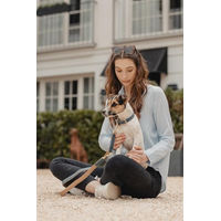 Produktbild von Kentucky Dogwear Hundehalsband aus geflochtenem Nylon Orange XS
