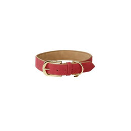 Kentucky Dogwear Hundehalsband aus Kunstleder Rot M-L 58cm - 58 cm – Bild 1 von 2