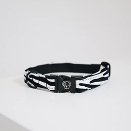 Kentucky Dogwear Hundehalsband aus Nylon in Bunt und Schwarz Größe XS – Bild 1 von 10