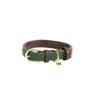 Produktbild von Kentucky Dogwear Hundehalsband aus Nylon in Grün Größe XL