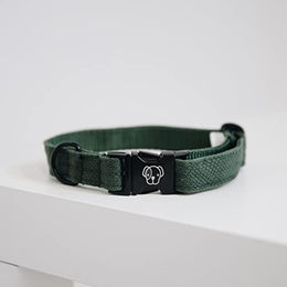 Kentucky Dogwear Hundehalsband aus Nylon mit Tiermuster in Grün Größe XL – Bild 1 von 10