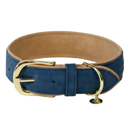 Kentucky Dogwear Hundehalsband aus veganem Kunstleder in Blau XS – Bild 1 von 8