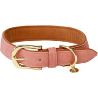 Produktbild von Kentucky Dogwear Hundehalsband aus veganem Kunstleder in Pfirsich XXS