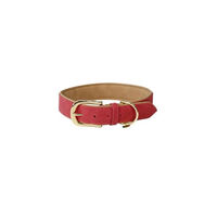 Produktbild von Kentucky Dogwear Hundehalsband aus veganem Kunstleder XS Pfirsich