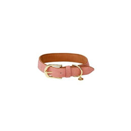 Kentucky Dogwear Hundehalsband aus veganem Leder in Pfirsich Grösse XXS – Bild 1 von 4