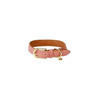 Produktbild von Kentucky Dogwear Hundehalsband aus veganem Leder in Pfirsich Grösse XXS