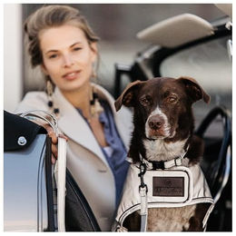 Kentucky Dogwear Hundehalsband aus Wolle Rosa Größe XS 25-38cm – Bild 1 von 3