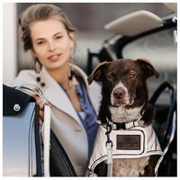 Produktbild von Kentucky Dogwear Hundehalsband aus Wolle Rosa Größe XS 25-38cm