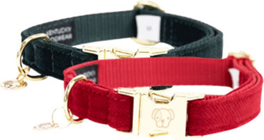 Kentucky Dogwear Hundehalsband Corduroy Rot XL 45-75 cm – Bild 1 von 2