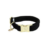 Produktbild von Kentucky Dogwear Hundehalsband Corduroy Schwarz Größe M
