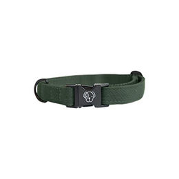 Kentucky Dogwear Hundehalsband Eidechse Grün Größe XS (25-38cm) – Bild 1 von 2