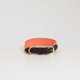 Kentucky Dogwear Hundehalsband Jacquard Nylon Neon Orange Größe L - 62 cm – Bild 1 von 2
