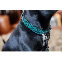 Produktbild von Kentucky Dogwear Hundehalsband Leopard Grün Größe S (28-40cm)