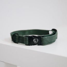 Kentucky Dogwear Hundehalsband Nylon Lizard Grün Größe S 28-40cm – Bild 1 von 9