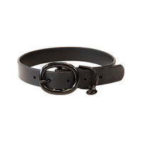 Produktbild von Kentucky Dogwear Hundehalsband Soft Rubber Waterproof Schwarz L