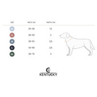 Produktbild von Kentucky Dogwear Hundehalsband Stoff Braun XS
