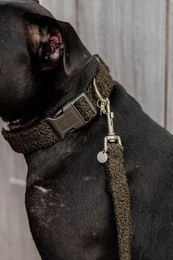 Kentucky Dogwear Hundehalsband Teddy Fleece Grün XS – Bild 1 von 3