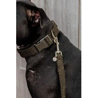 Produktbild von Kentucky Dogwear Hundehalsband Teddy Fleece Grün XS