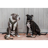 Produktbild von Kentucky Dogwear Hundehalsband Teddy Fleece Tannengrün XS