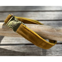 Produktbild von Kentucky Dogwear Hundehalsband Velvet aus Velours Gelb Größe L 42-68 cm