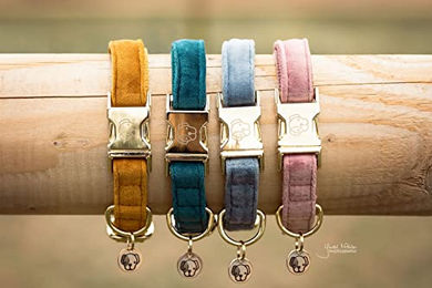 Kentucky Dogwear Hundehalsband Velvet aus Velours Orange Größe M 36-52cm – Bild 1 von 6