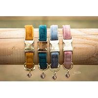 Produktbild von Kentucky Dogwear Hundehalsband Velvet aus Velours Orange Größe M 36-52cm