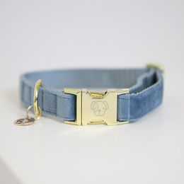 Kentucky Dogwear Hundehalsband Velvet Blau Größe M 36-52cm – Bild 1 von 9