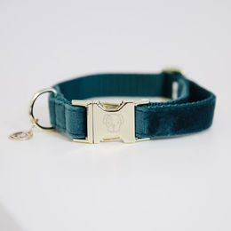 Kentucky Dogwear Hundehalsband Velvet Blaugrün XS 25-38cm – Bild 1 von 10