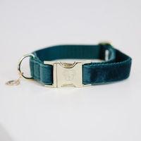 Produktbild von Kentucky Dogwear Hundehalsband Velvet Blaugrün XS 25-38cm