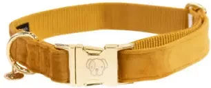 Kentucky Dogwear Hundehalsband Velvet Gelb XS 25-38cm – Bild 1 von 9