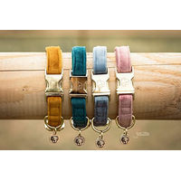 Produktbild von Kentucky Dogwear Hundehalsband Velvet in Blau Größe XS