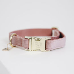 Kentucky Dogwear Hundehalsband Velvet Rosa Grösse L 42-68cm – Bild 1 von 11
