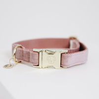 Produktbild von Kentucky Dogwear Hundehalsband Velvet Rosa Grösse L 42-68cm
