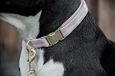 Kentucky Dogwear Hundehalsband Velvet Rosa Größe S – Bild 1 von 9