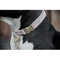 Produktbild von Kentucky Dogwear Hundehalsband Velvet Rosa Größe S