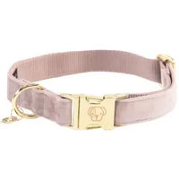Produktbild von Kentucky Dogwear Hundehalsband Velvet Rosa Größe XS 18-26cm