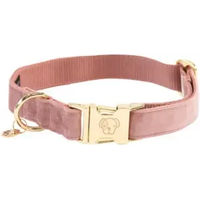 Produktbild von Kentucky Dogwear Hundehalsband Velvet Rosa S 28-40cm