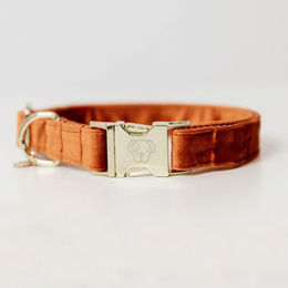 Kentucky Dogwear Hundehalsband Velvet Velours Orange Größe XL – Bild 1 von 5
