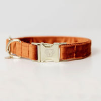 Produktbild von Kentucky Dogwear Hundehalsband Velvet Velours Orange XS 18-26 cm