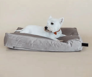 Kentucky Dogwear Hundekissen aus Samt in Grün Größe L – Bild 1 von 3